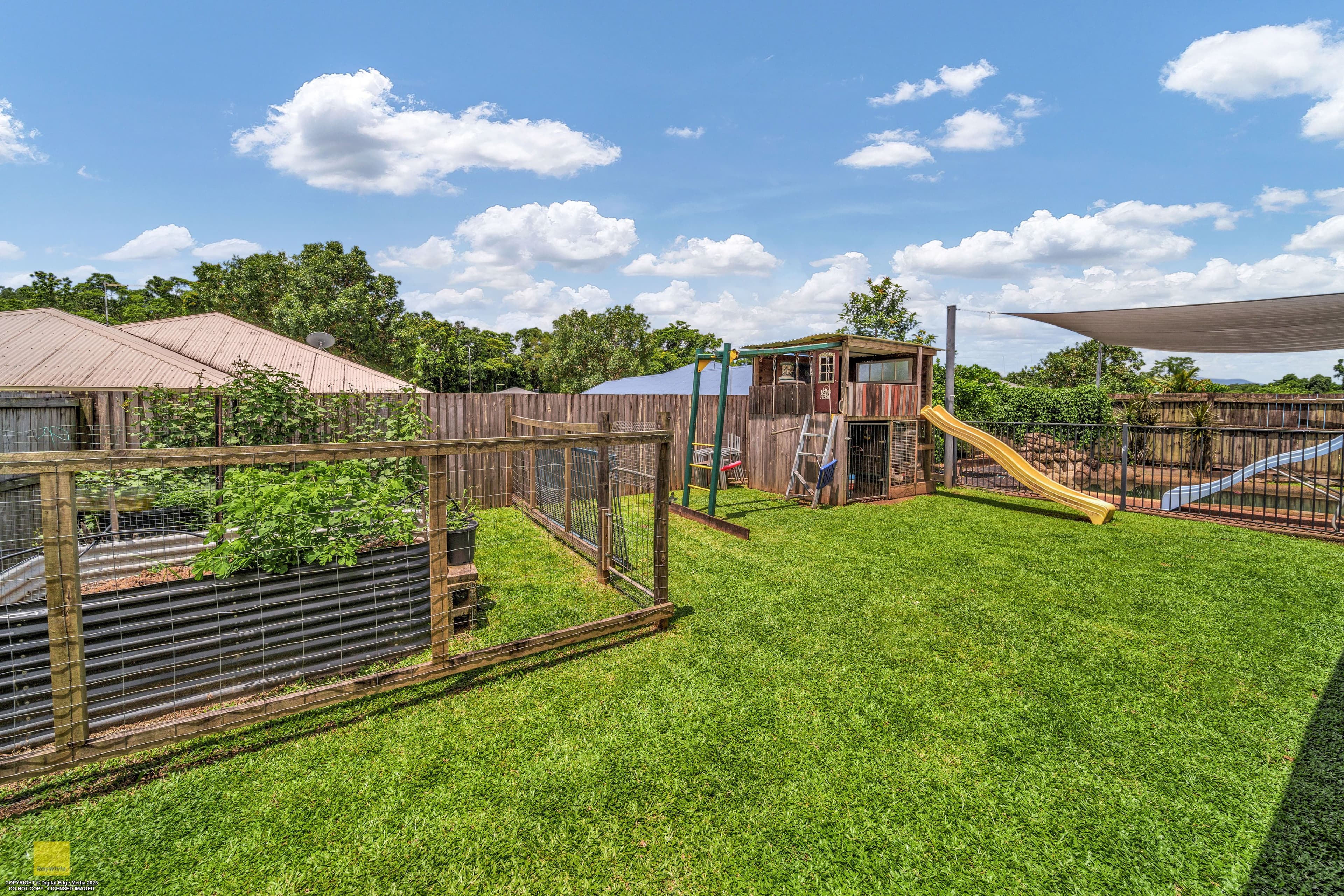 6 Mayne Close, Bentley Park QLD 4869, Bentley Park - Thumbnail 2