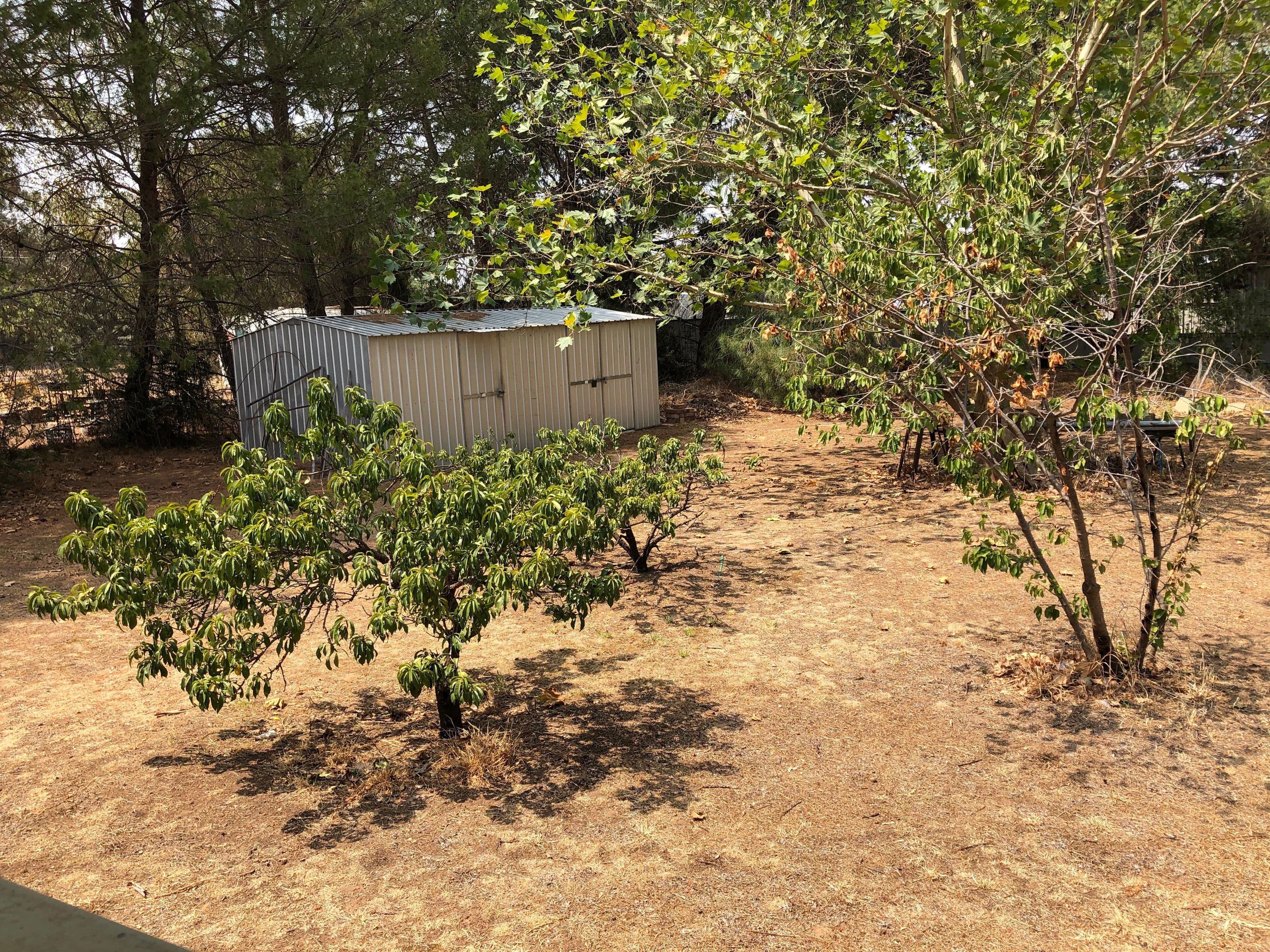 65 Boorowa Street, Koorawatha NSW 2807, Koorawatha - Thumbnail 2