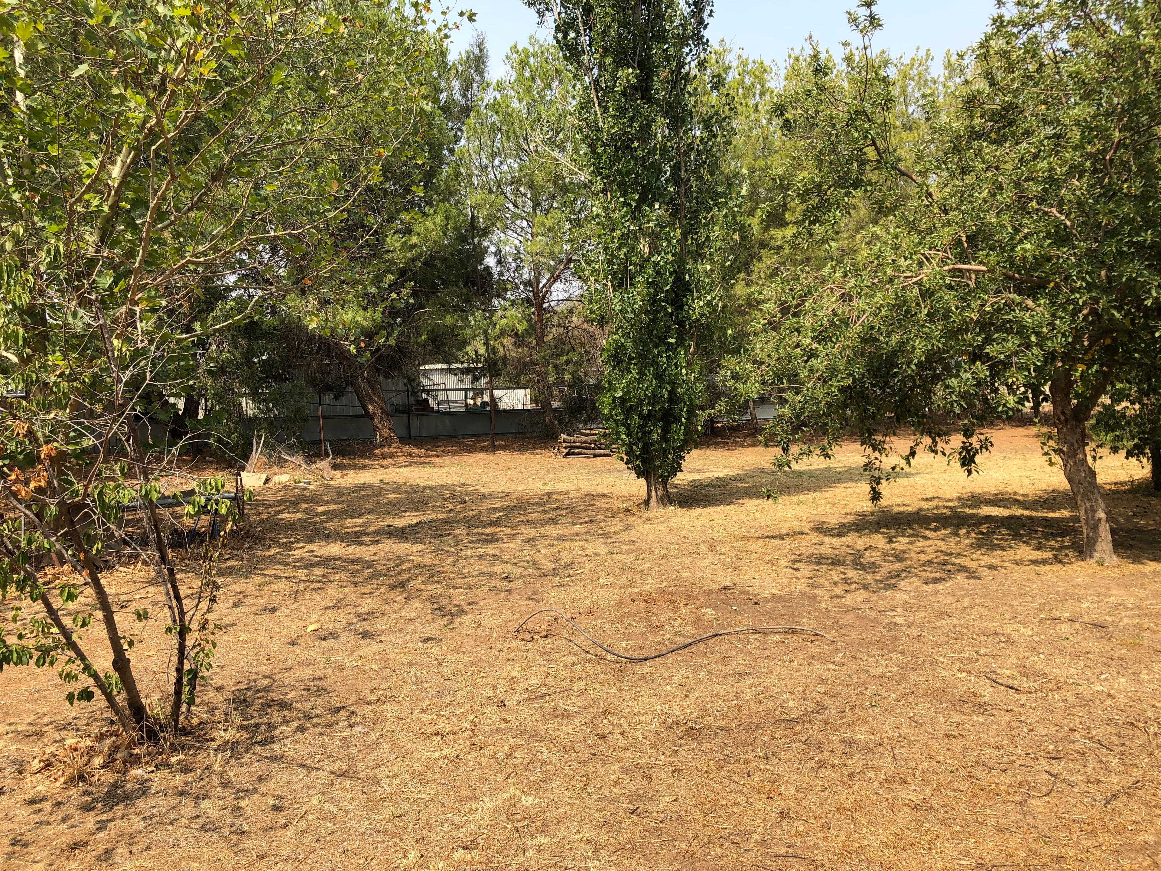 65 Boorowa Street, Koorawatha NSW 2807, Koorawatha - Thumbnail 3