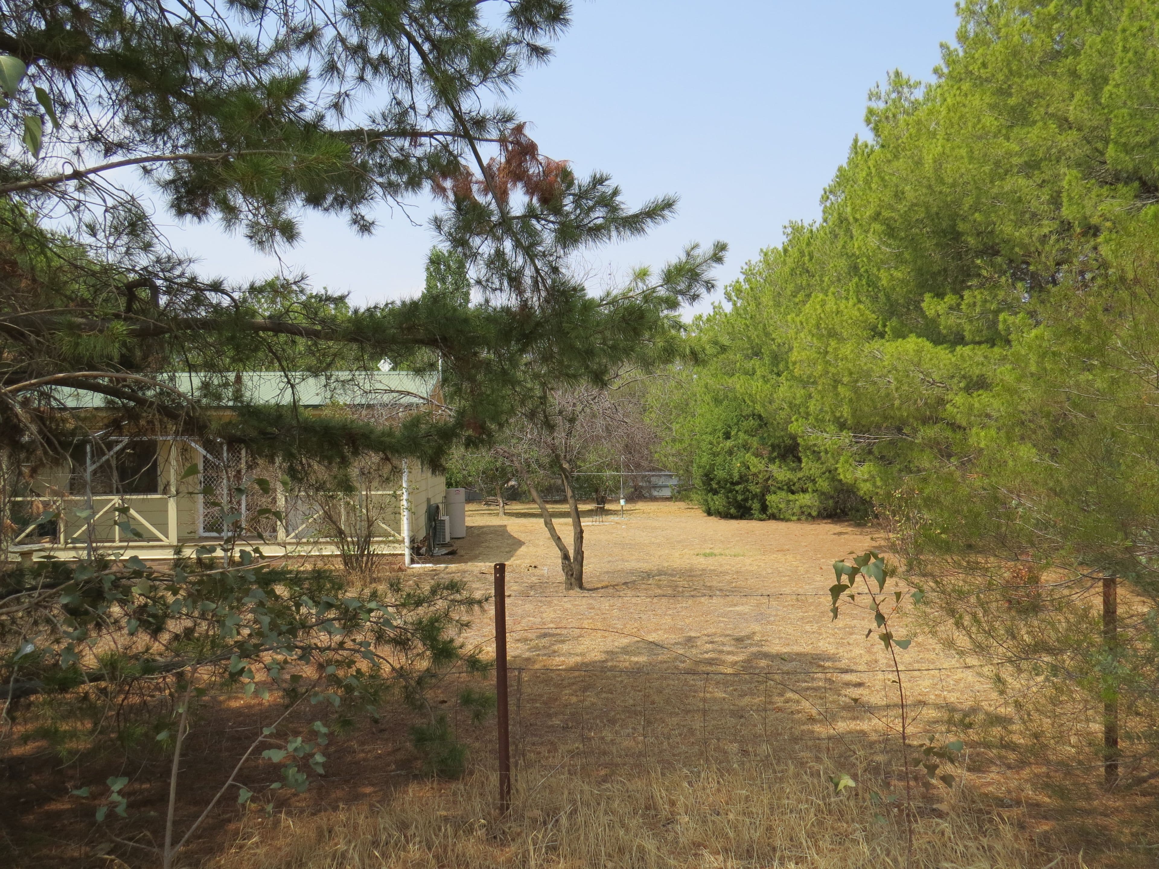 65 Boorowa Street, Koorawatha NSW 2807, Koorawatha - Thumbnail 4