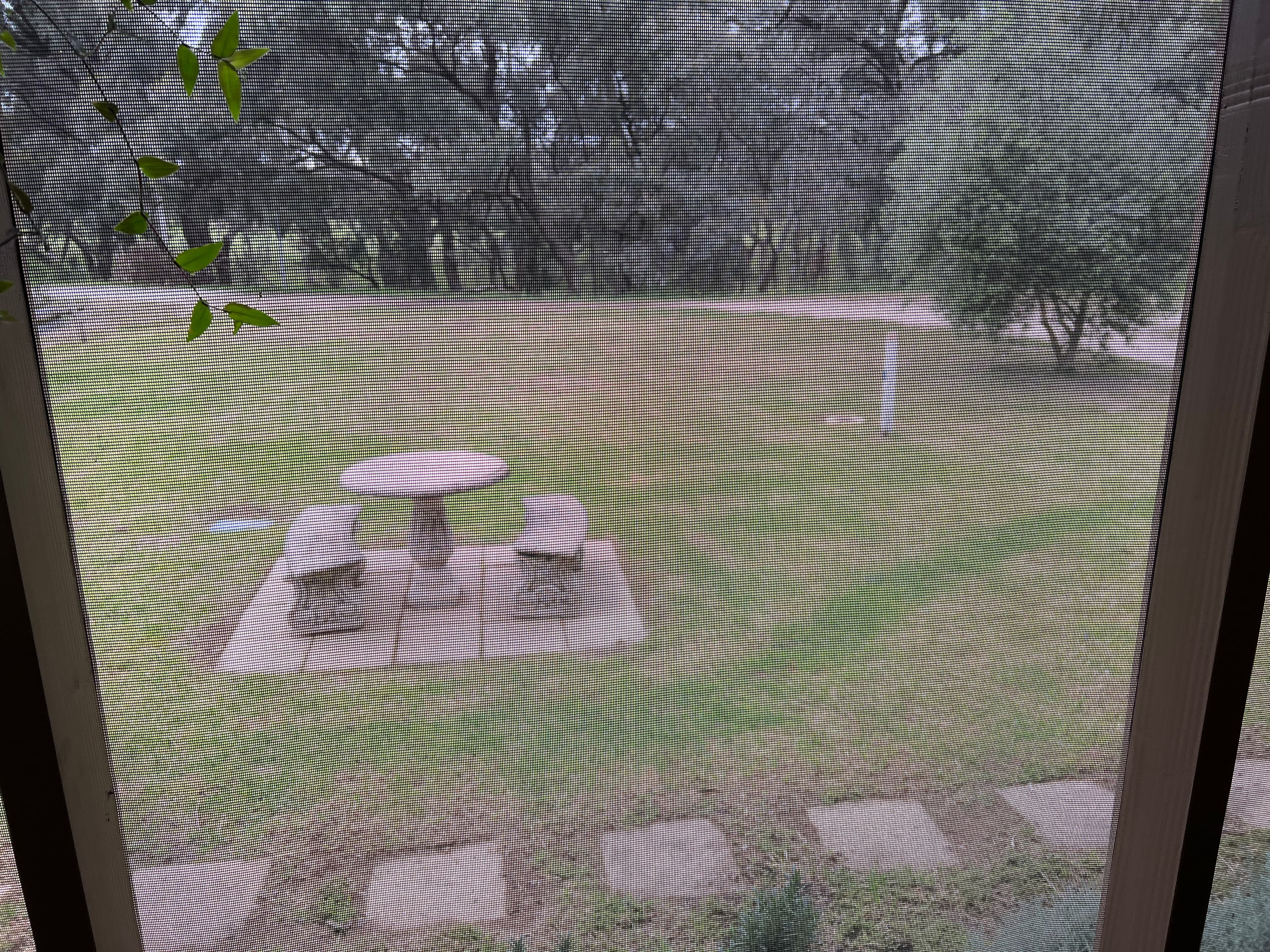 224 Harfleur Street, Deniliquin NSW 2710, Deniliquin - Thumbnail 3