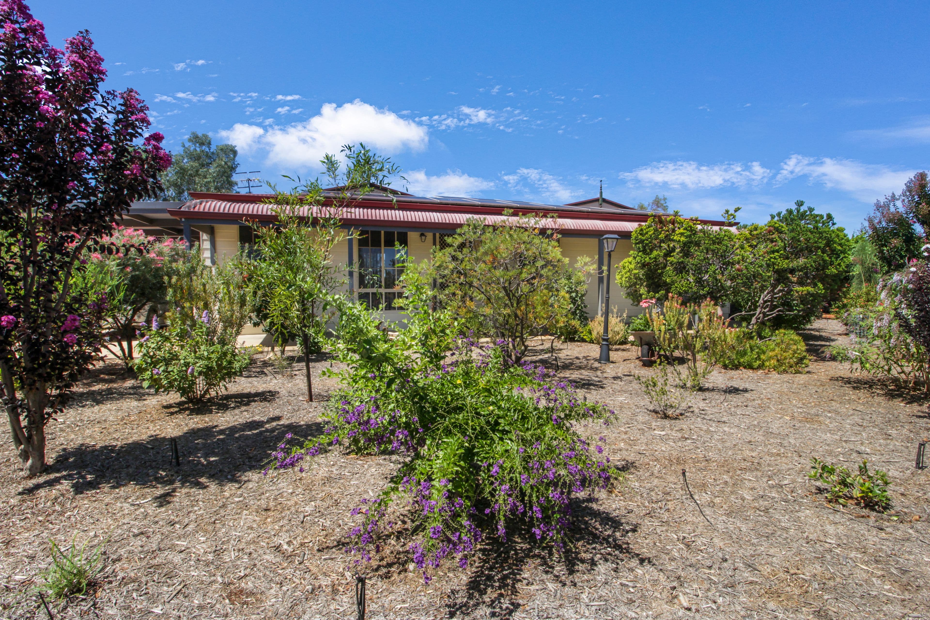 24 Swan Street, Chaffey SA 5341, Chaffey - Thumbnail 4