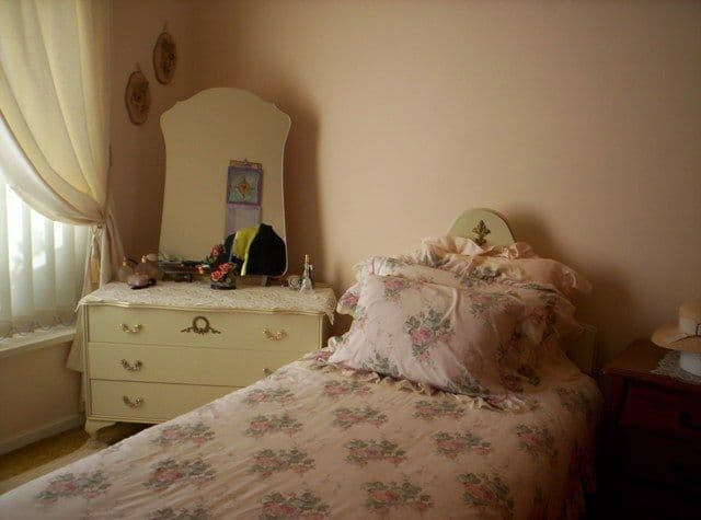 247 Gordon Road, Barmera SA 5345, Barmera - Thumbnail 6