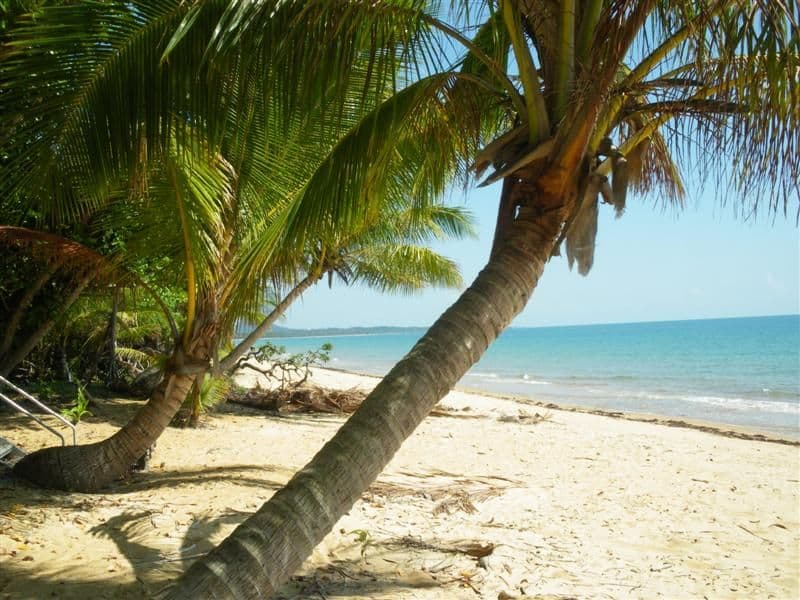 43 Holland Street, Mission Beach QLD 4852, Mission Beach - Thumbnail 3