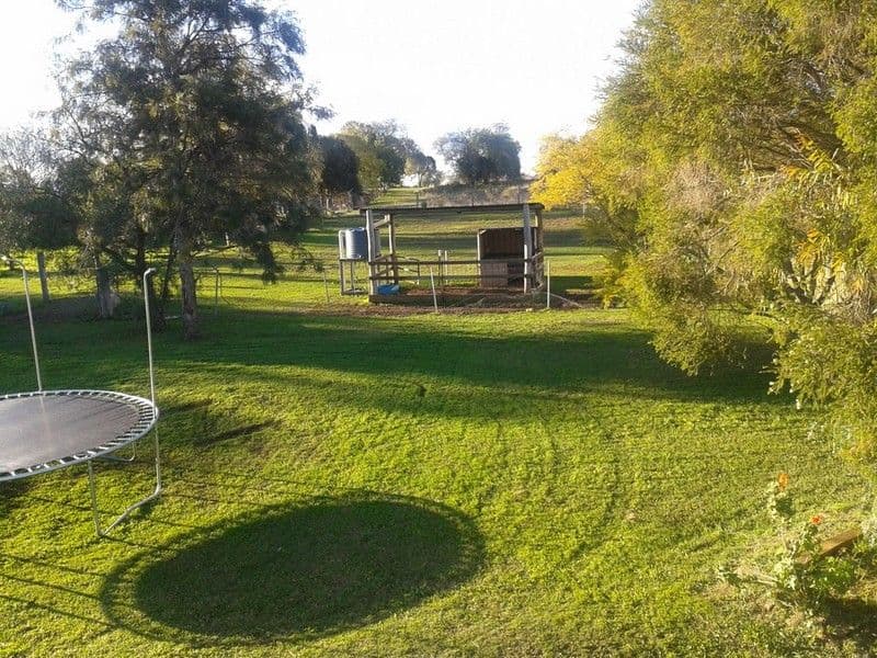 19 Odassa Street, GOOMBUNGEE QLD 4354, Goombungee - Thumbnail 8