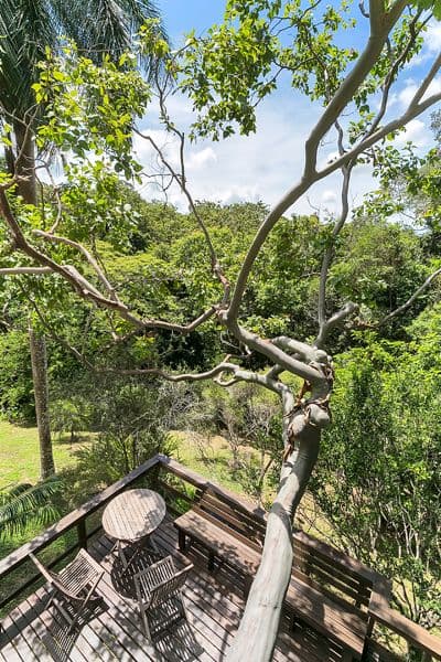 47 Silkwood Avenue, Kuranda QLD 4881, Kuranda - Thumbnail 8