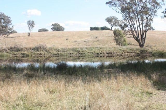 183 Elliotts Road, Crowther via, YOUNG NSW 2594, Young - Thumbnail 4