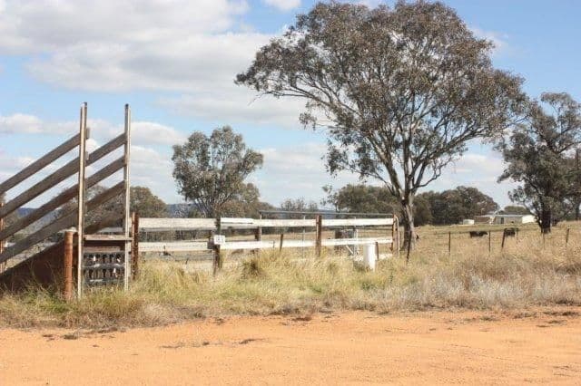 183 Elliotts Road, Crowther via, YOUNG NSW 2594, Young - Thumbnail 6