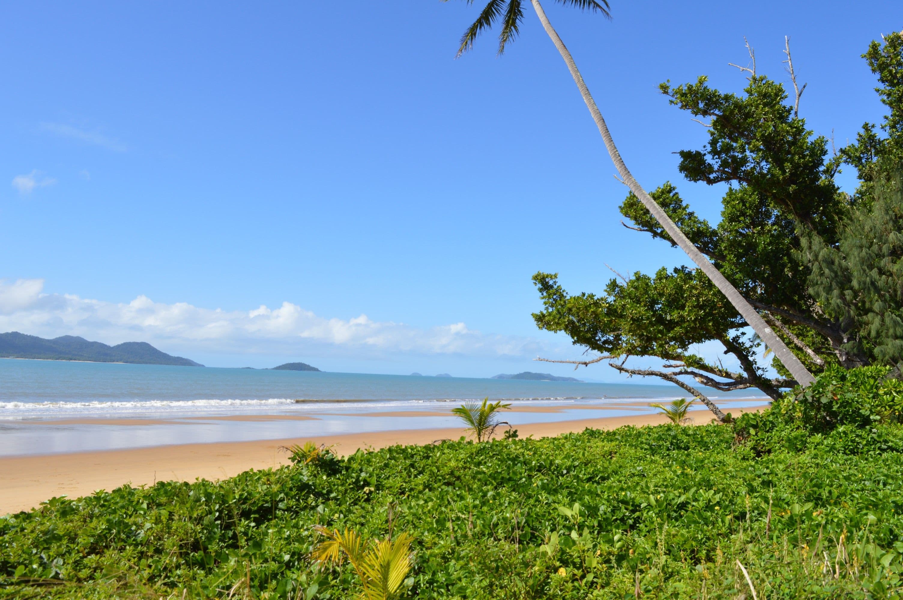 55 Reid Road, Mission Beach QLD 4852, Mission Beach - Thumbnail 3