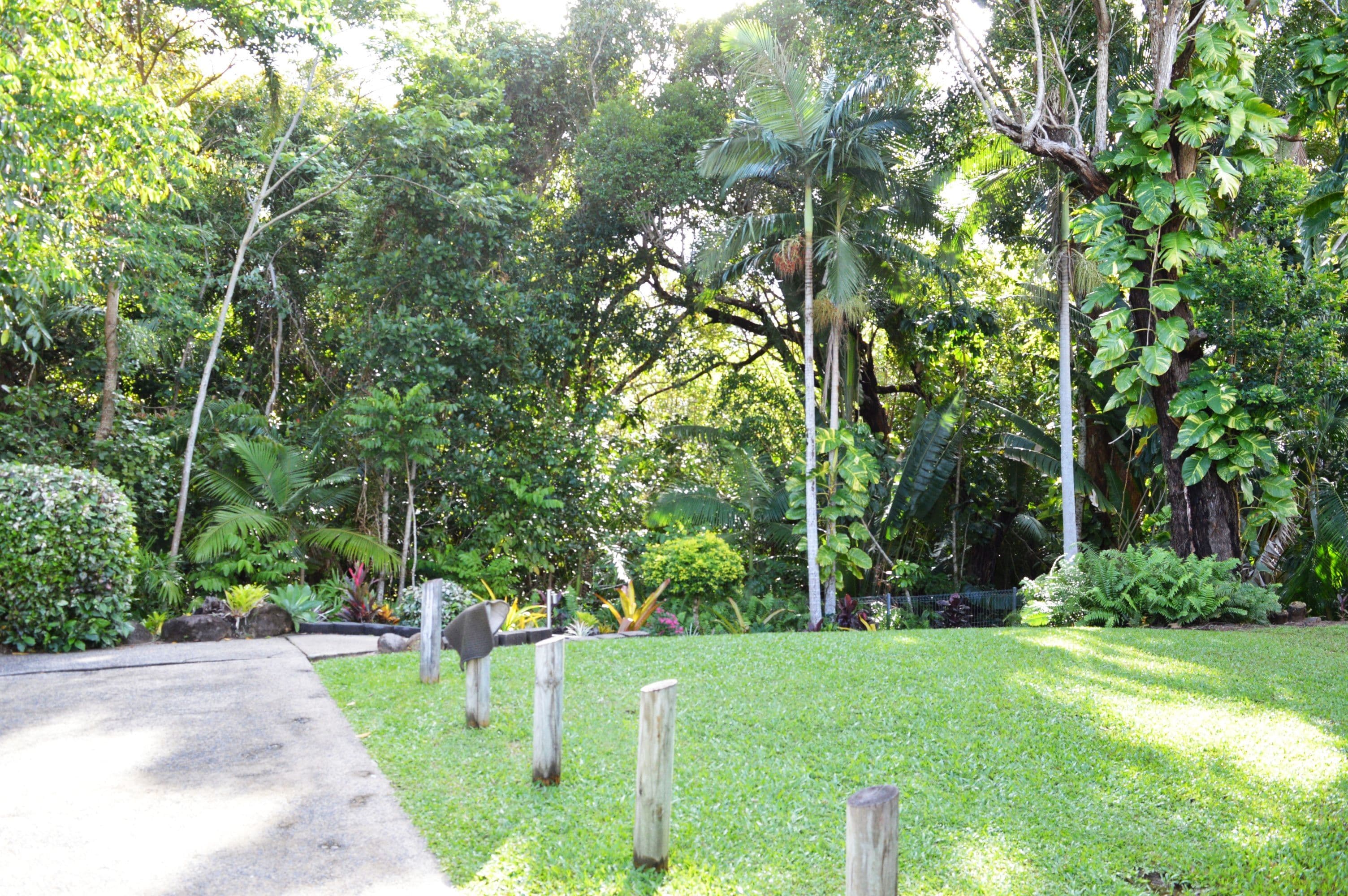 55 Reid Road, Mission Beach QLD 4852, Mission Beach - Thumbnail 8