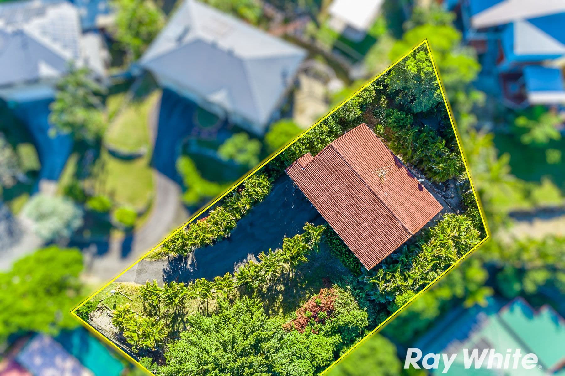 6 Feldsman Court, Petrie QLD 4502, Petrie - Thumbnail 5