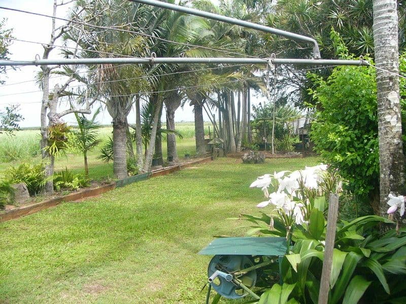 527 Gin Gin Road, BUNDABERG NORTH QLD 4670, Bundaberg North - Thumbnail 3