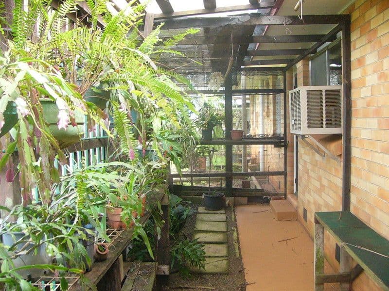 527 Gin Gin Road, BUNDABERG NORTH QLD 4670, Bundaberg North - Thumbnail 4