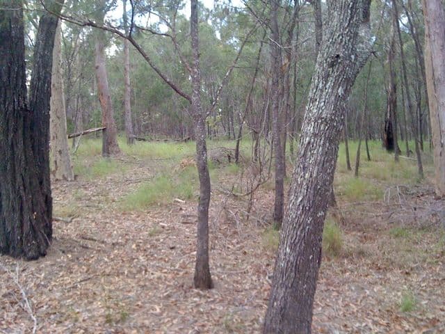 799 Gilston Road, GILSTON QLD 4211, Gilston - Thumbnail 4