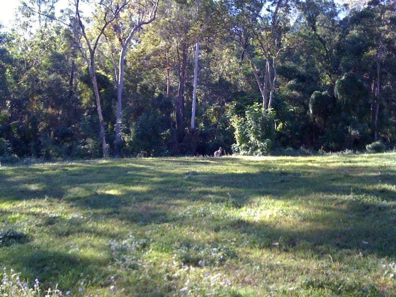 799 Gilston Road, GILSTON QLD 4211, Gilston - Thumbnail 6