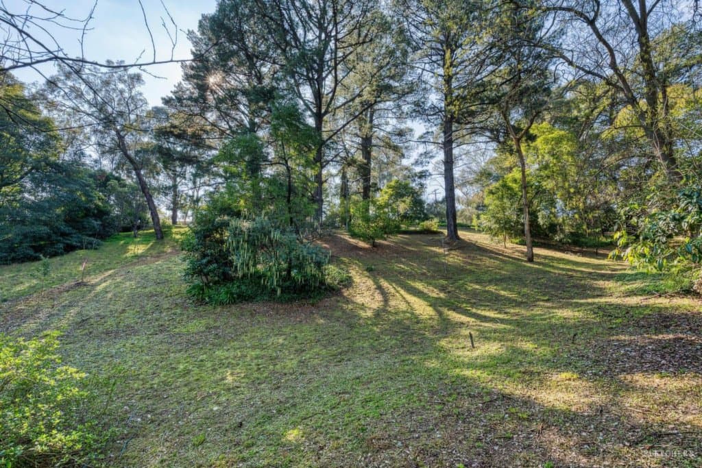 22 Colonsay Street, Templestowe - Thumbnail 5