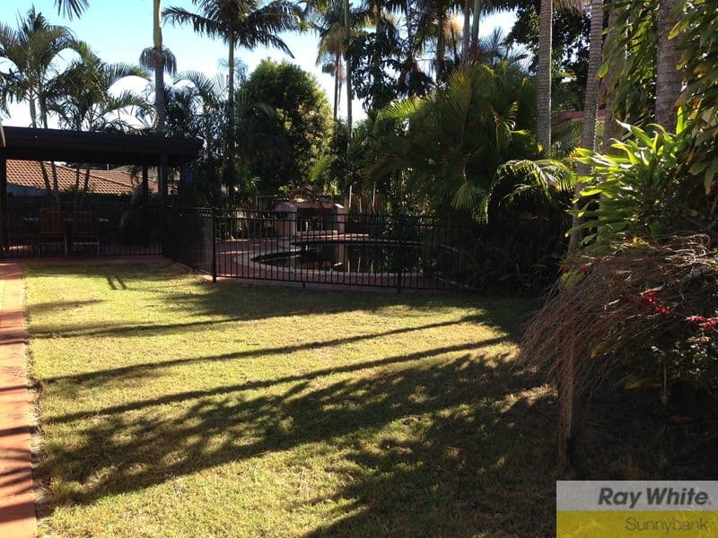 6 Druid Court, EIGHT MILE PLAINS QLD 4113, Eight Mile Plains - Thumbnail 5