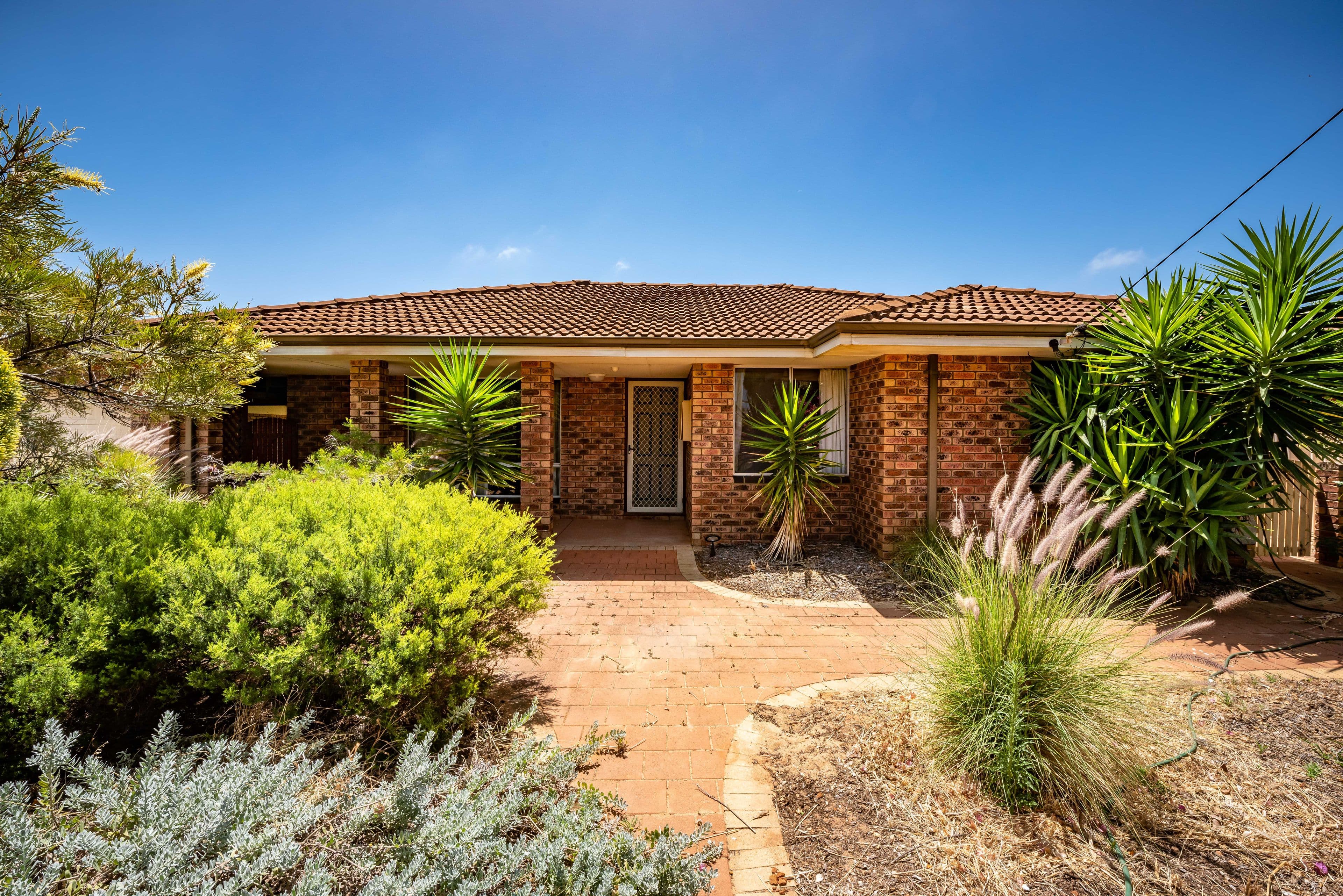50 Harrison Street, Bluff Point WA 6530, Bluff Point - Image 1