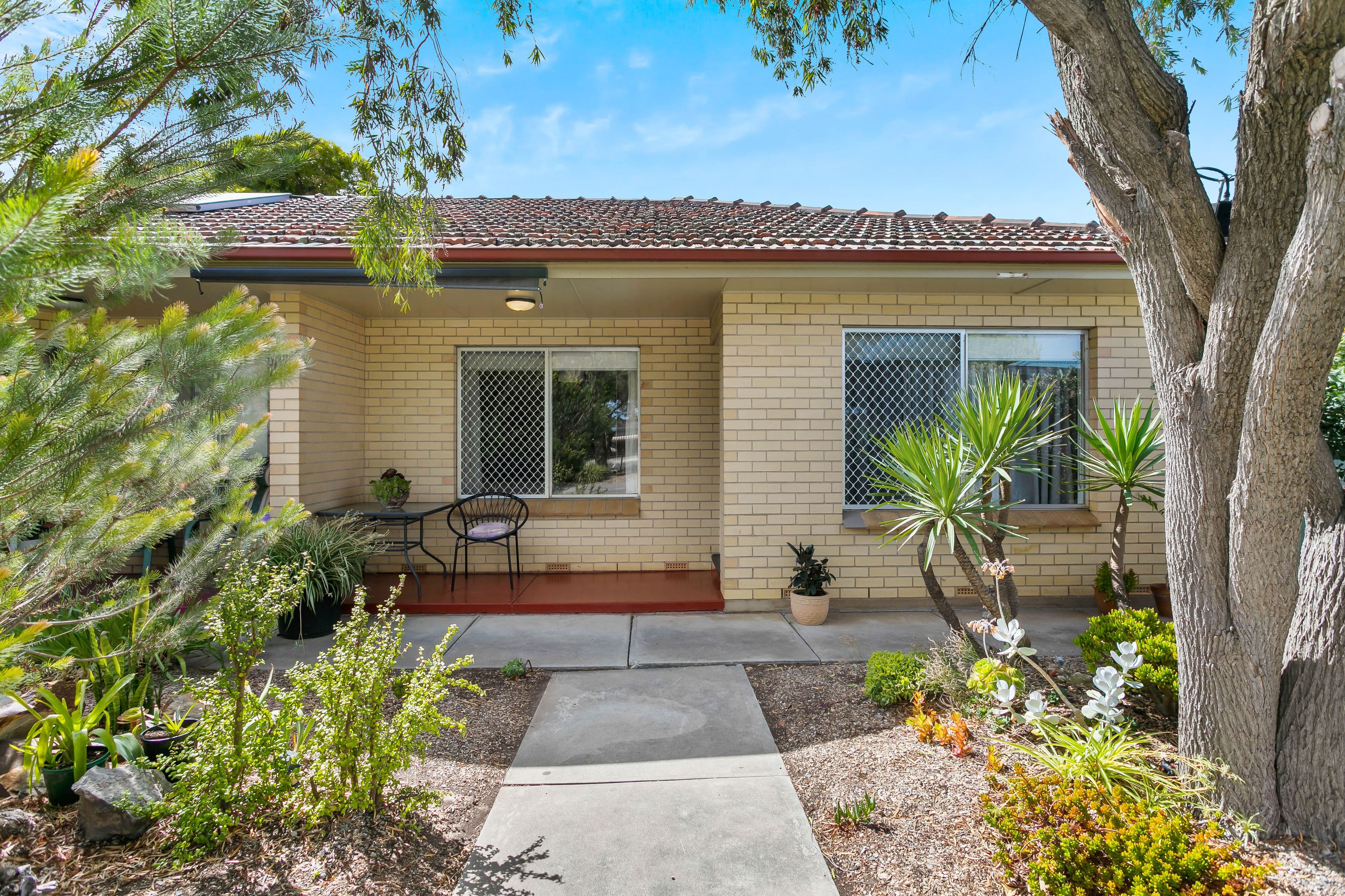 10 Hazel Street, Ascot Park SA 5043, Ascot Park - Image 1