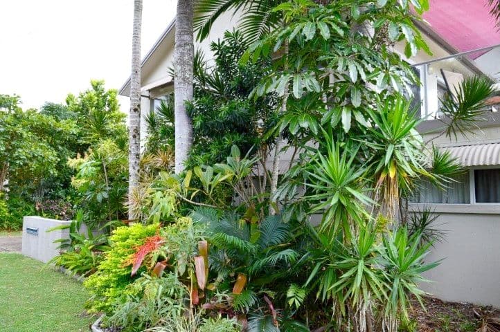 73 Reid Road, Wongaling Beach QLD 4852, Wongaling Beach - Thumbnail 6