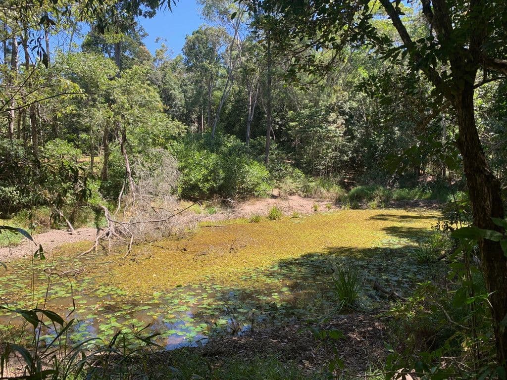 Lot 130 Ganyan Drive, Speewah QLD 4881, Speewah - Thumbnail 4