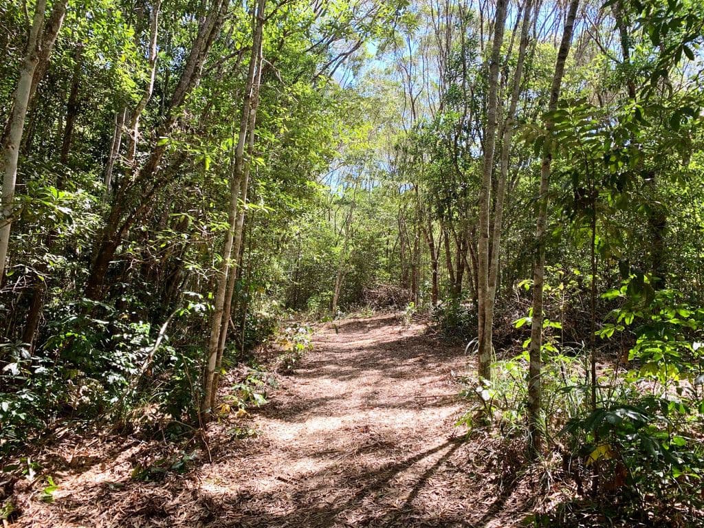 Lot 130 Ganyan Drive, Speewah QLD 4881, Speewah - Thumbnail 8