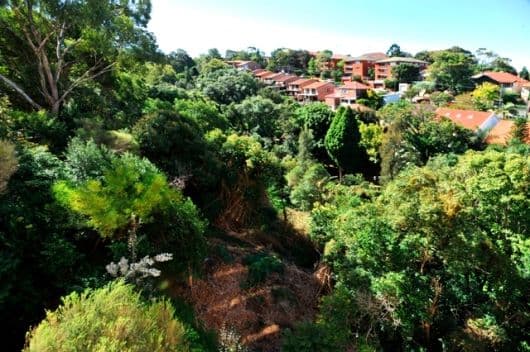 260 Alison Road, RANDWICK NSW 2031, Randwick - Thumbnail 4