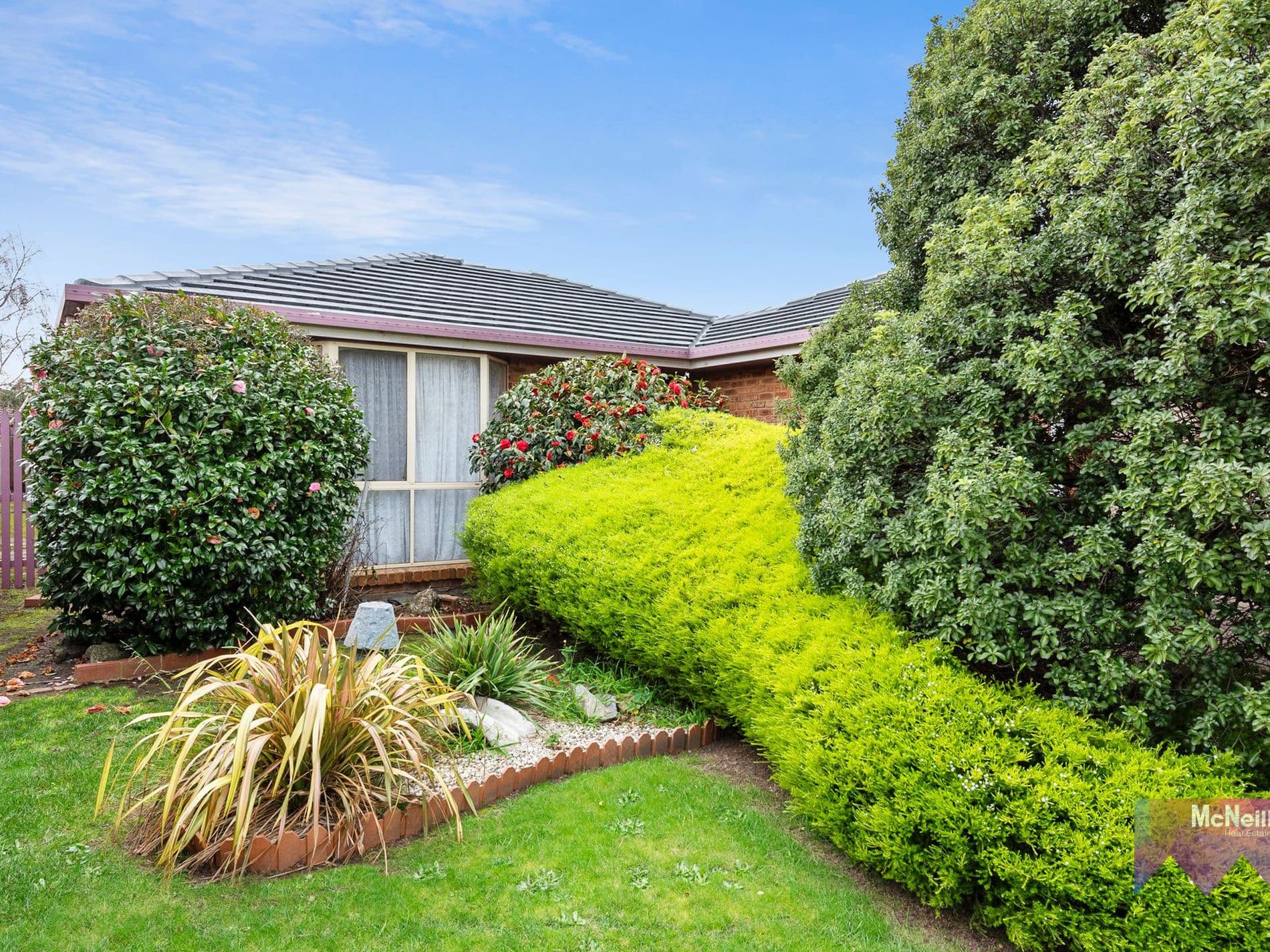 38 Waltham Drive, MORNINGTON, Mornington - Image 1