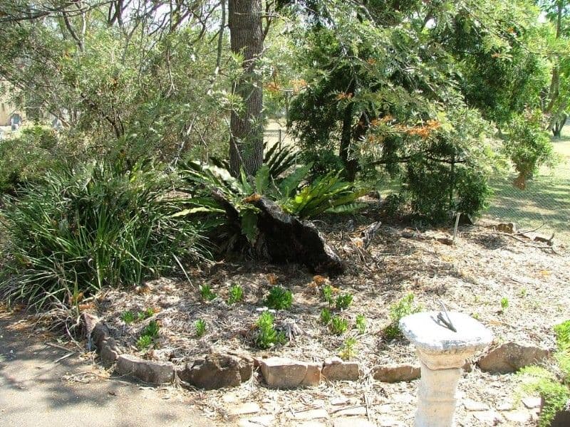 5 South Street, CROWS NEST QLD 4355, Crows Nest - Thumbnail 4