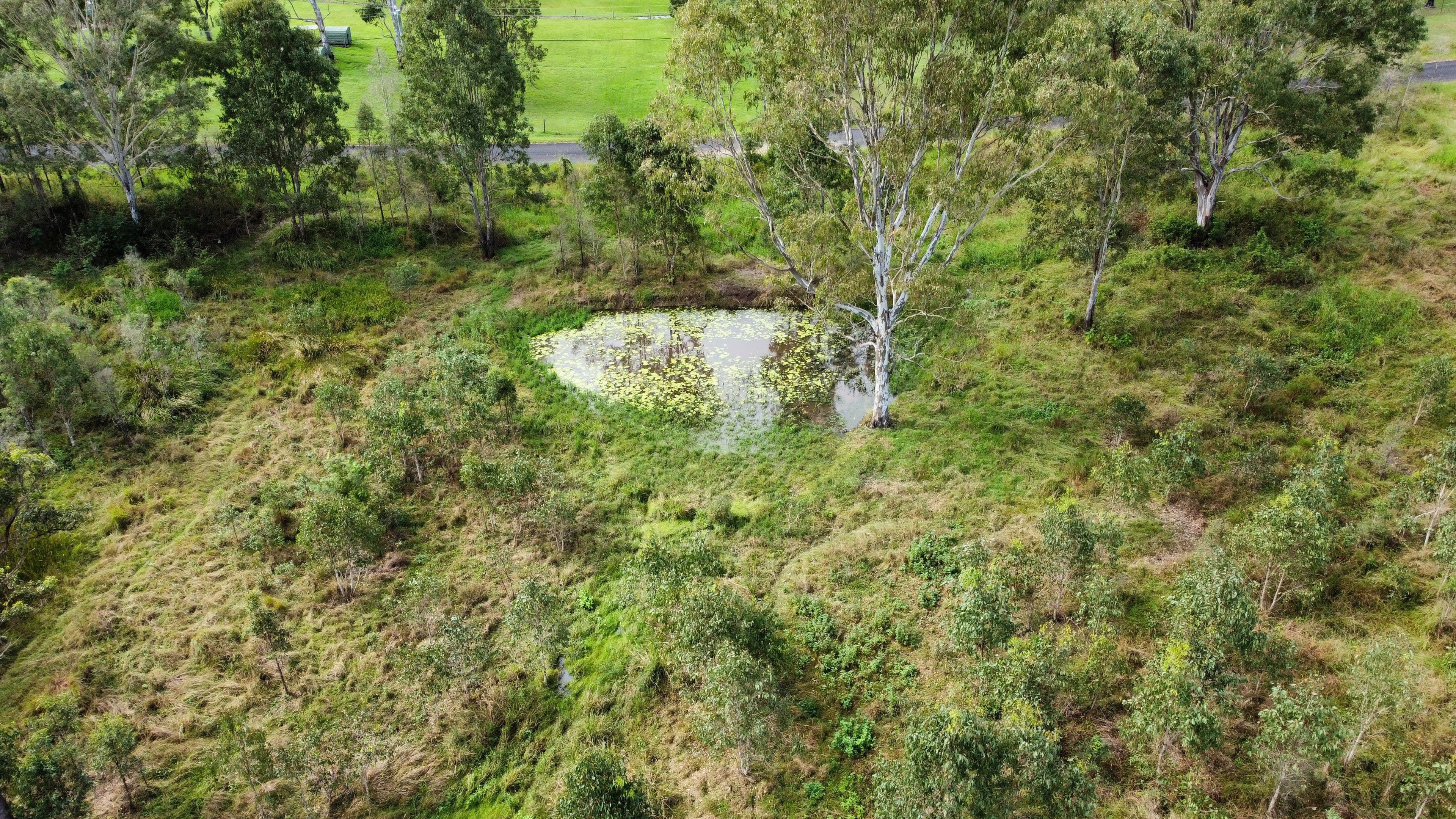 42 Scrubby Creek Road, Royston QLD 4515, Royston - Thumbnail 7