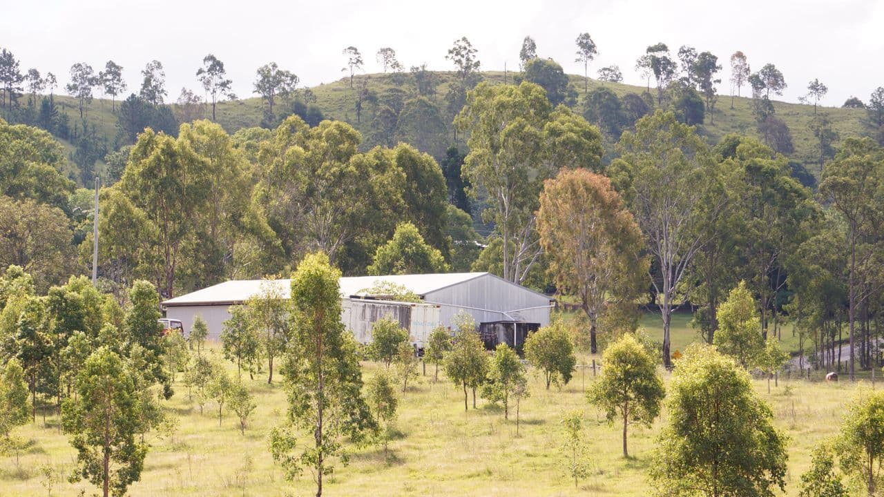 42 Scrubby Creek Road, Royston QLD 4515, Royston - Thumbnail 8
