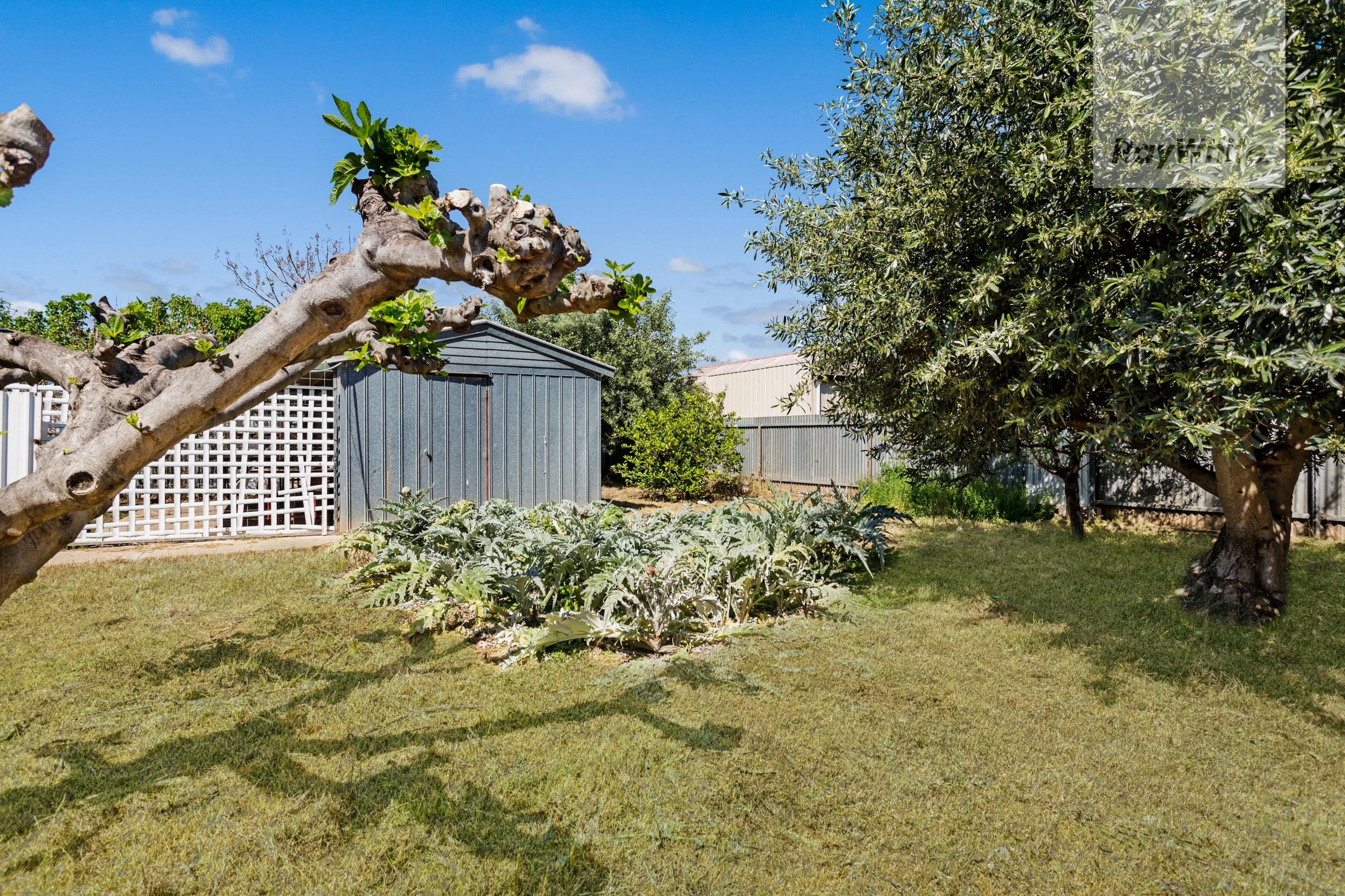 8/59-61 Graham Road, Narwee, Narwee - Thumbnail 2