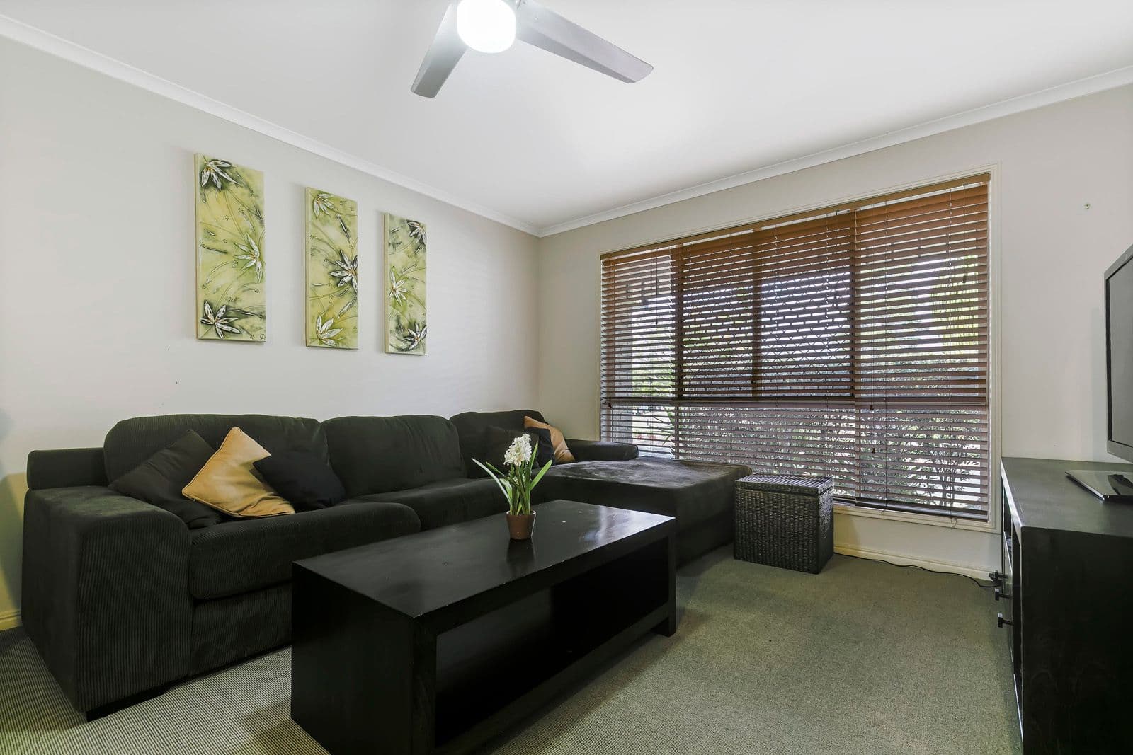 115 Glenfields Boulevard, Mountain Creek QLD 4557, Mountain Creek - Thumbnail 8