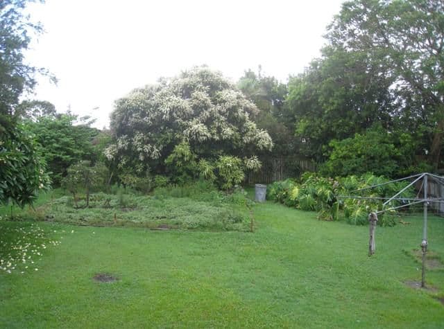 43 Bute Street, SHERWOOD QLD 4075, Sherwood - Thumbnail 2