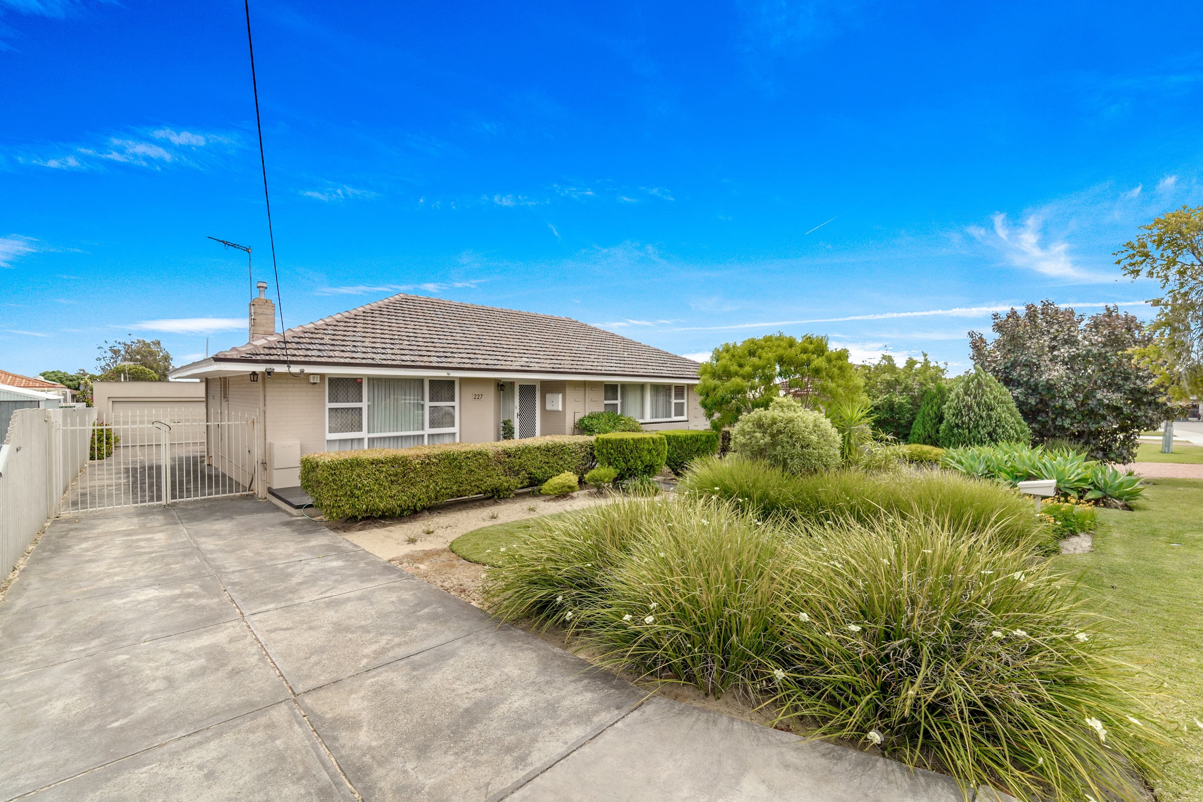 227 Waterloo Street, Tuart Hill WA 6060, Tuart Hill - Thumbnail 2