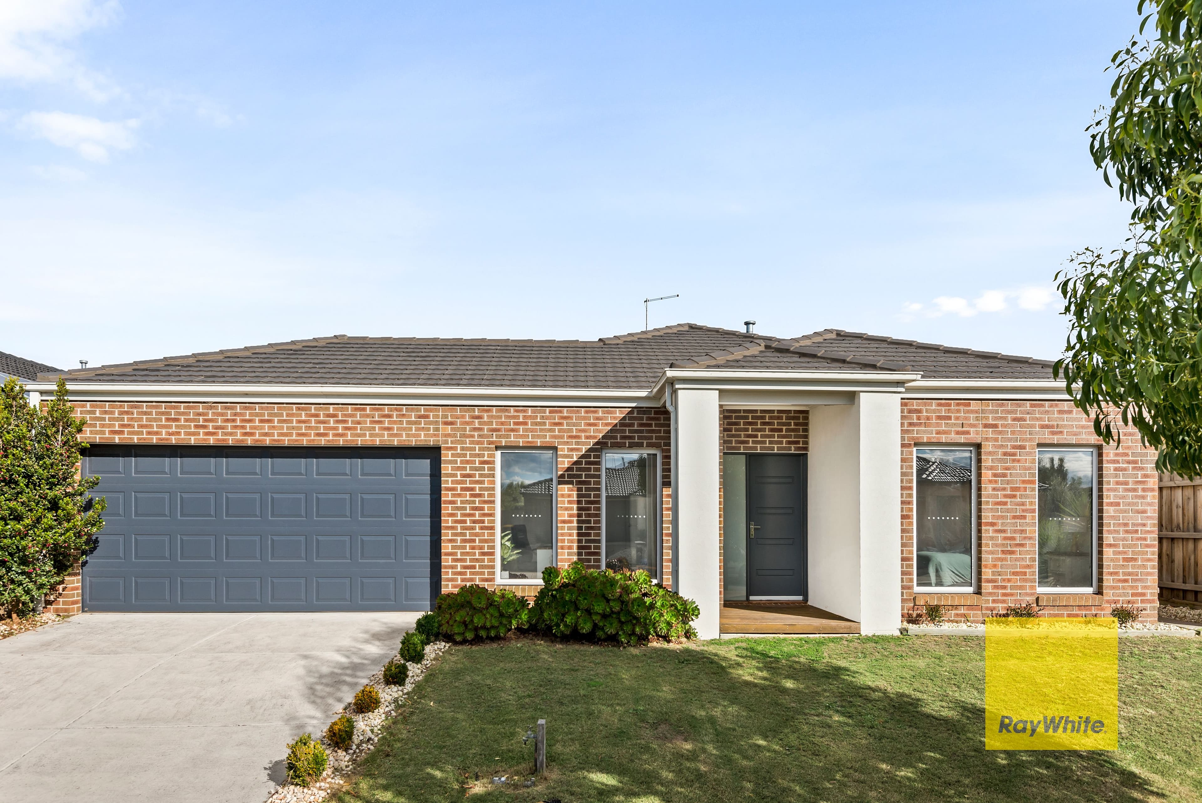 12 Badminton Court, Marshall VIC 3216, Marshall - Image 1