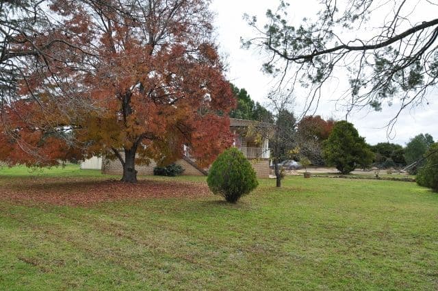 4 Camp Street, Eugowra NSW 2806, Eugowra - Thumbnail 4