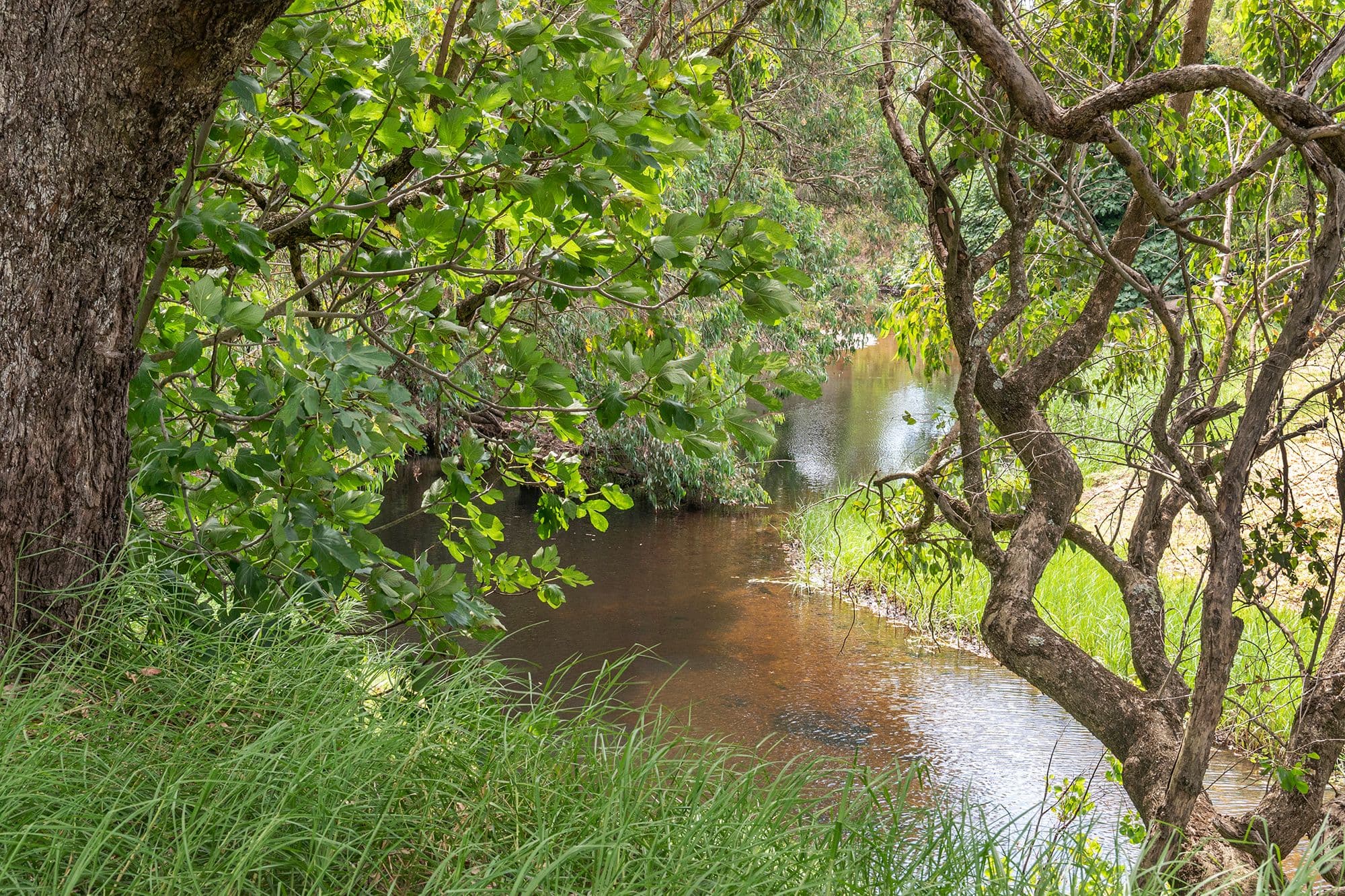 Lot 6 Orchard Road, Burekup WA 6227, Burekup - Thumbnail 7