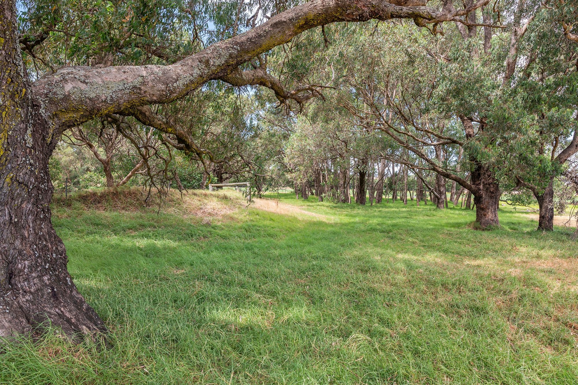 Lot 6 Orchard Road, Burekup WA 6227, Burekup - Thumbnail 8