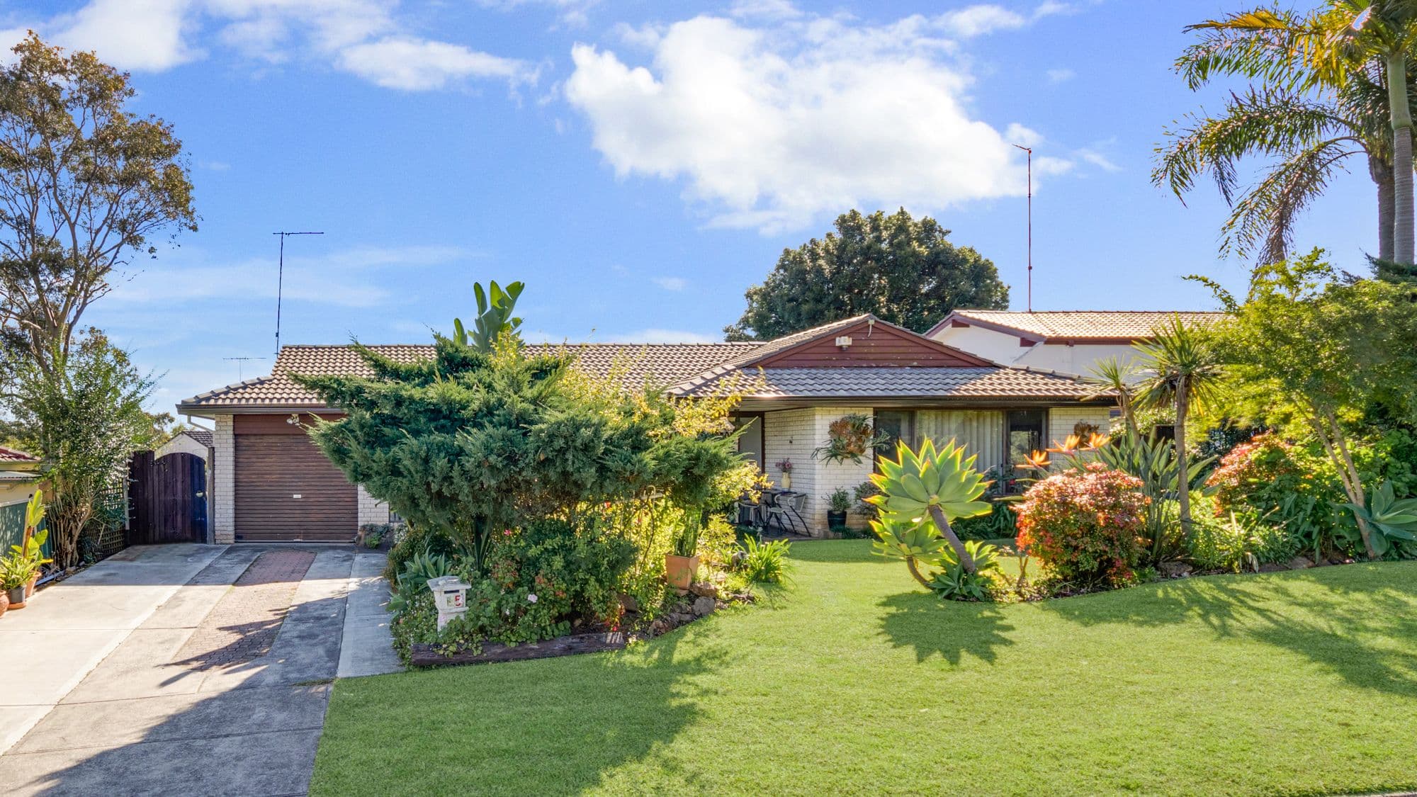 5 Cedar Avenue, Bradbury NSW 2560, Bradbury - Image 1