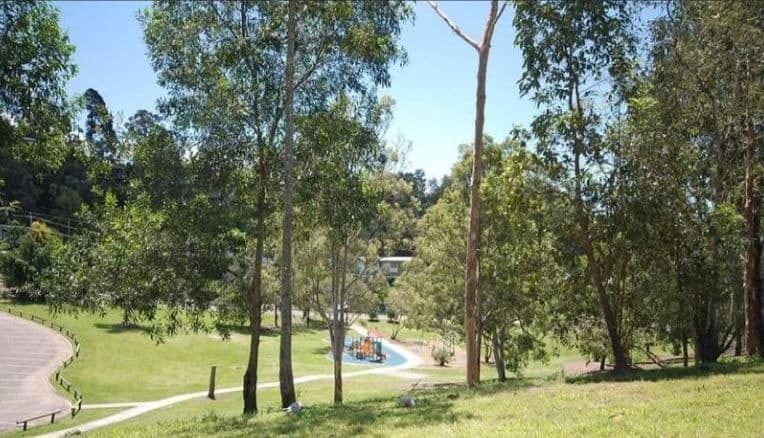 31 Menangle Avenue, Arana Hills QLD 4054, Arana Hills - Thumbnail 4
