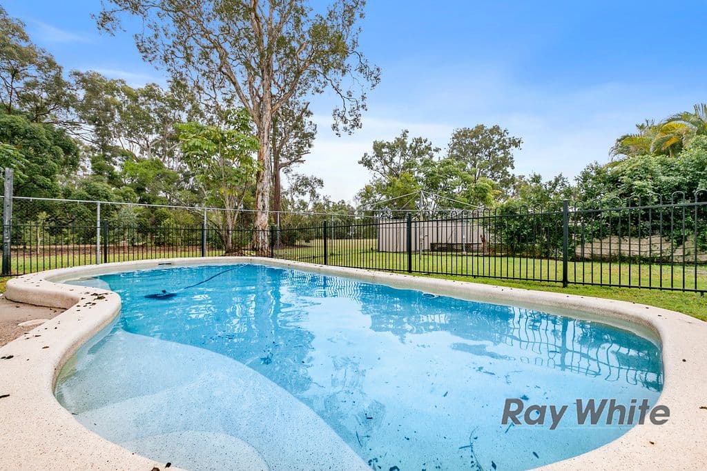 23 Abelia Street, Alexandra Hills QLD 4161, Alexandra Hills - Thumbnail 3