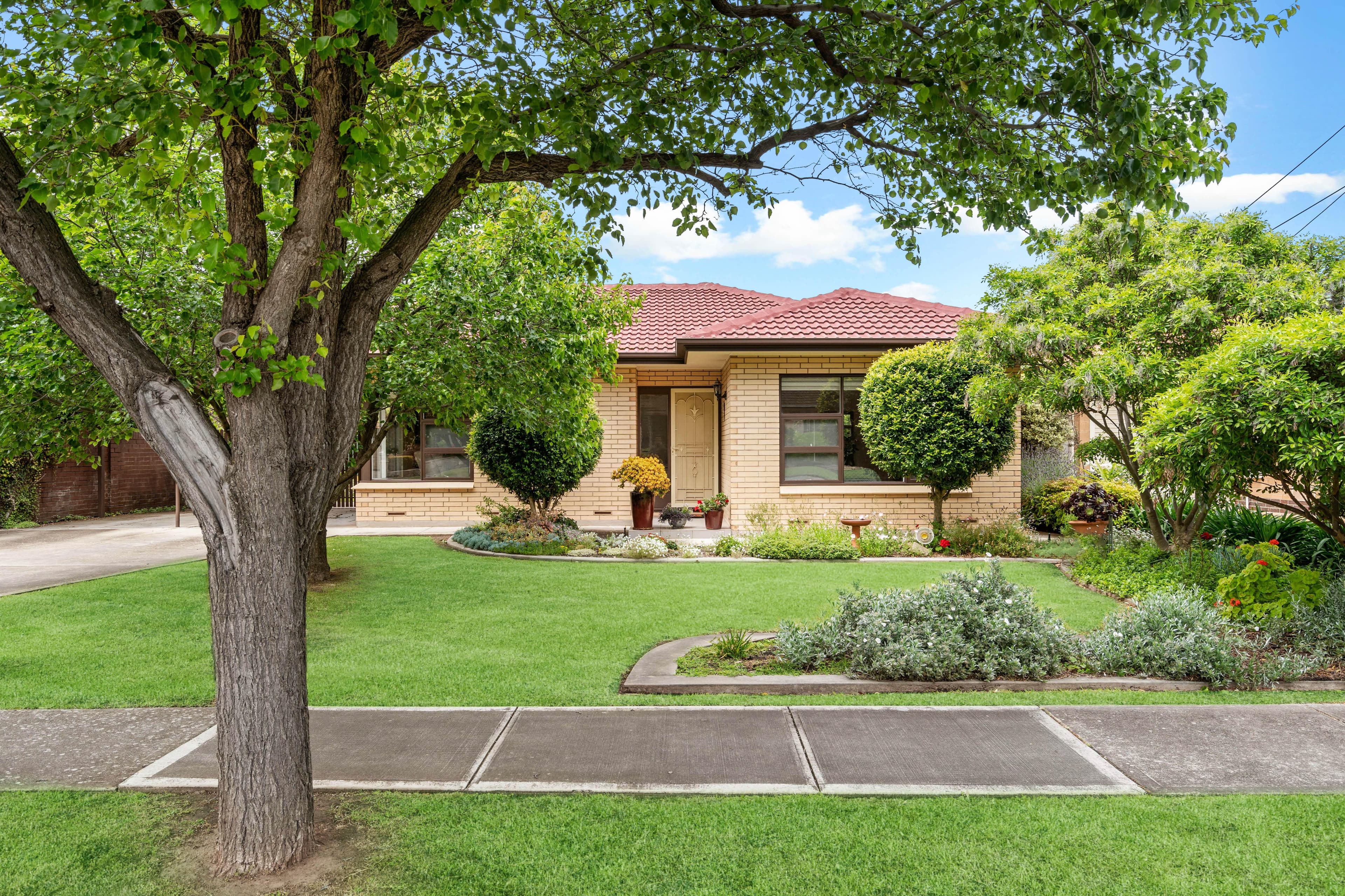 3 Huelin Street, Lockleys SA 5032, Lockleys - Thumbnail 3