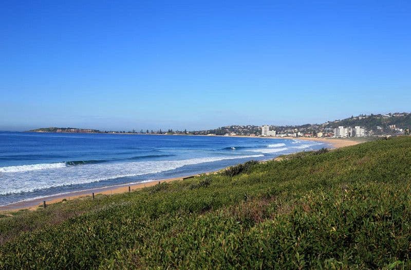 146 Ocean Street, NARRABEEN NSW 2101, Narrabeen - Thumbnail 7