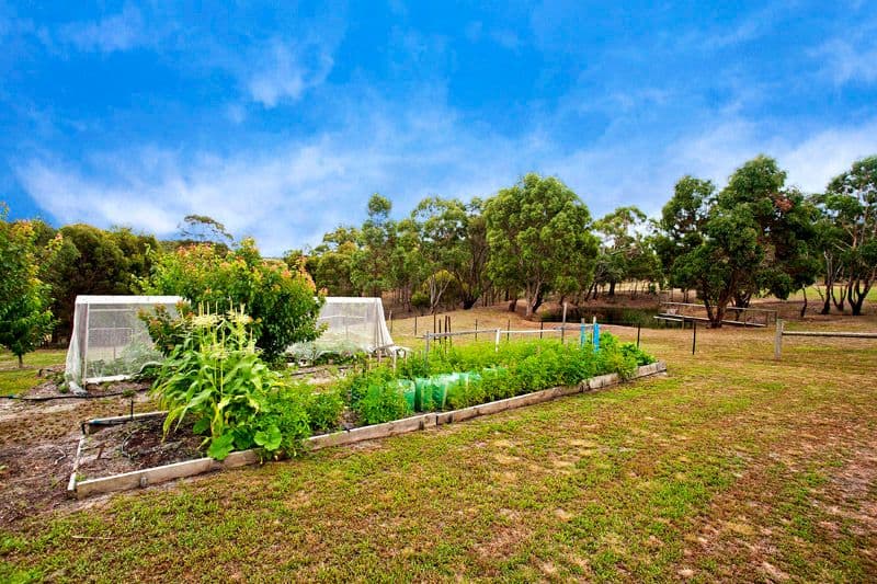 200 Sheoaks-Steiglitz Road, SHE OAKS VIC 3331, She Oaks - Thumbnail 5