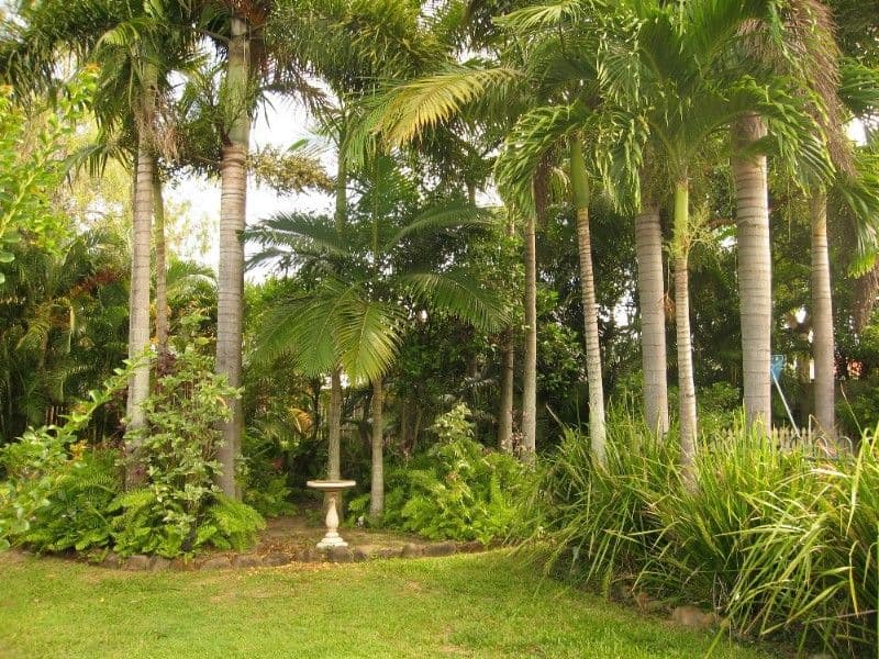 13 Quail Street, SLADE POINT QLD 4740, Slade Point - Thumbnail 8