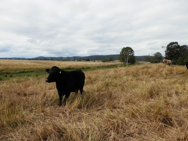 28 Woolshed Creek Road, HATTON VALE QLD 4341, Hatton Vale - Thumbnail 2