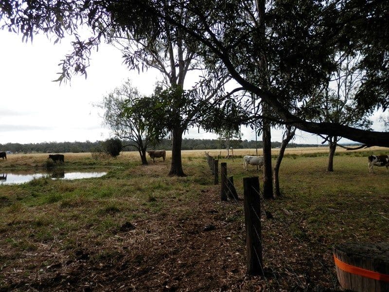 28 Woolshed Creek Road, HATTON VALE QLD 4341, Hatton Vale - Thumbnail 8