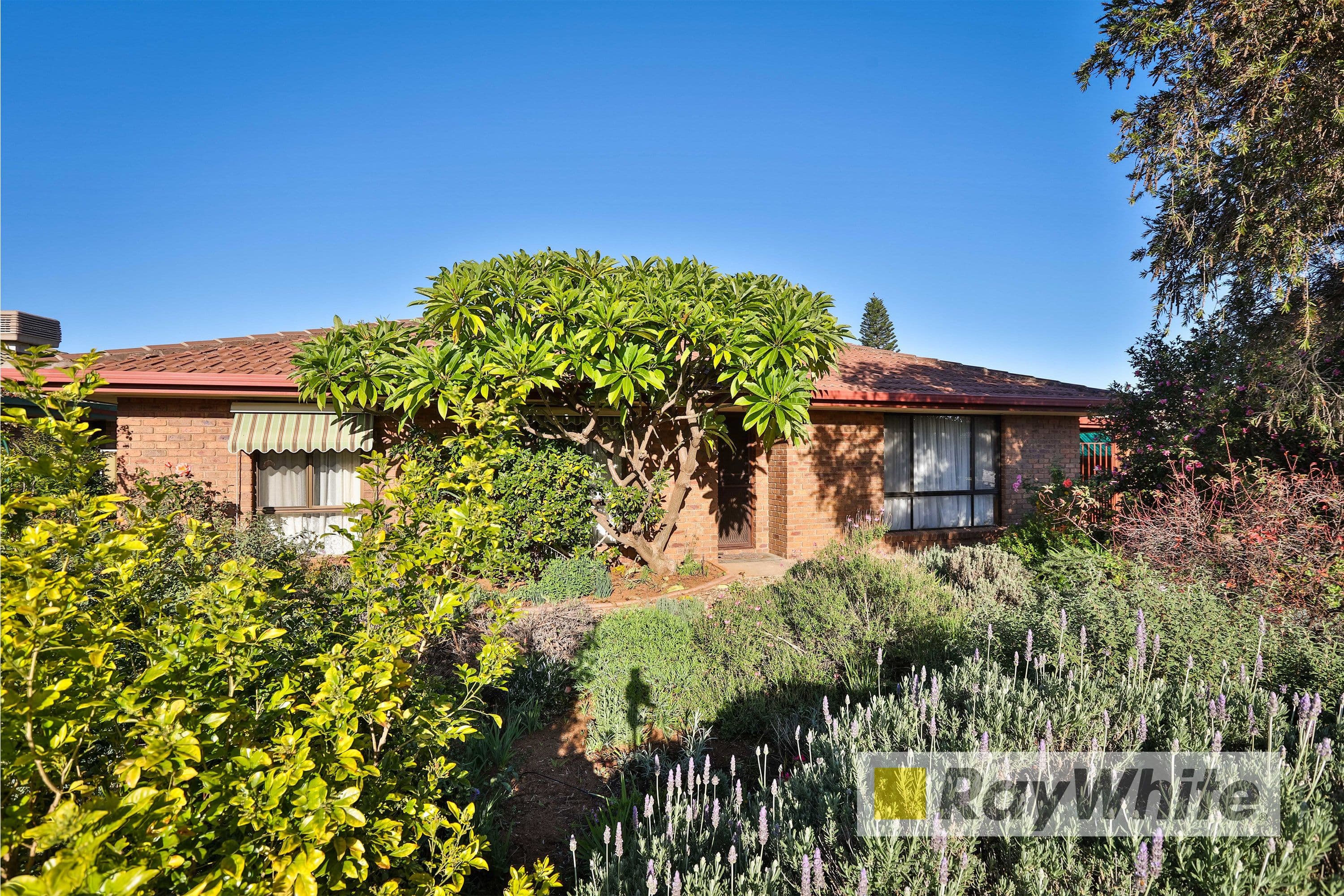 9 Swan Place, Mildura VIC 3500, Mildura - Image 1