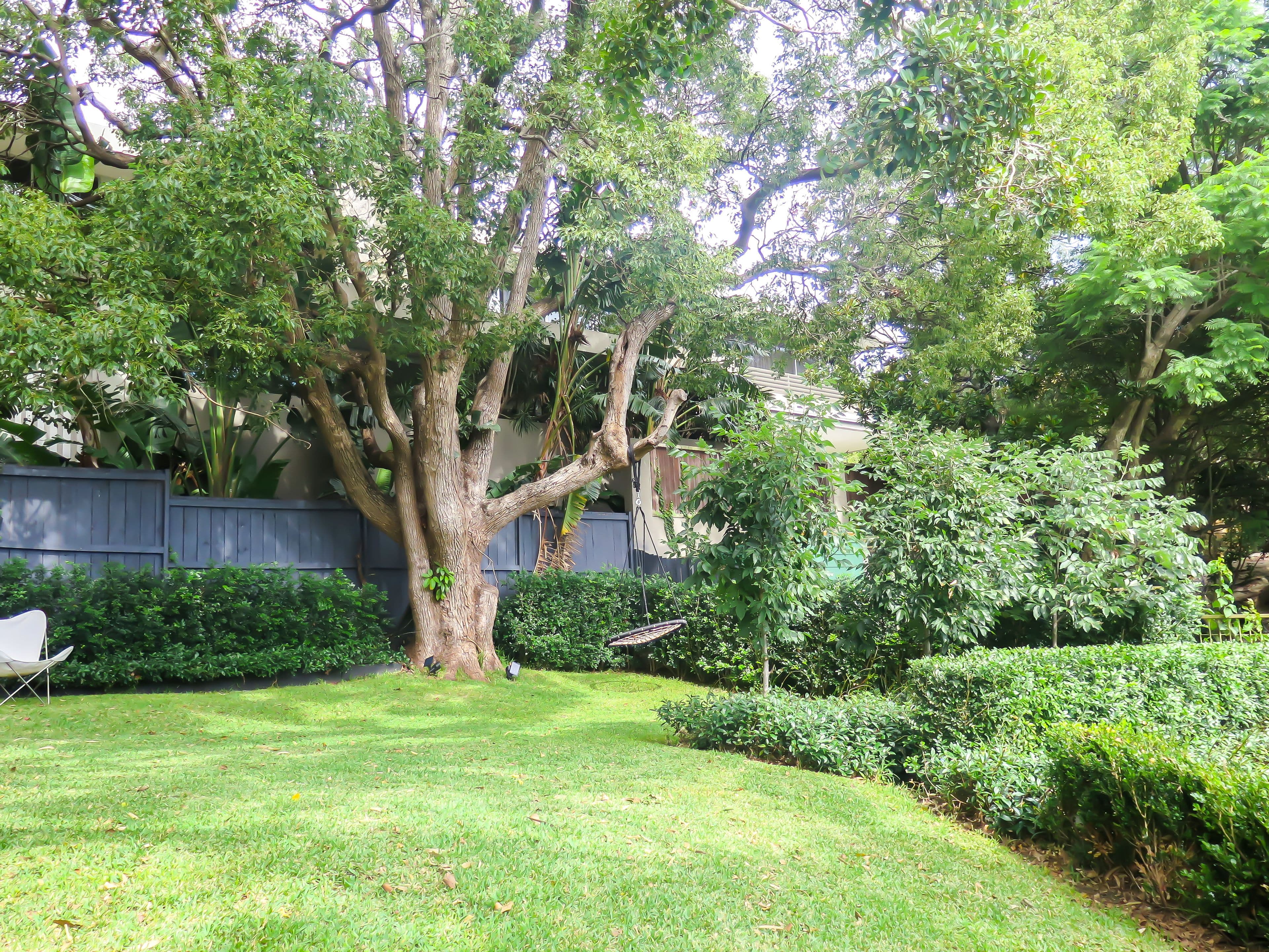 17 Boambillee Avenue, Vaucluse - Thumbnail 4